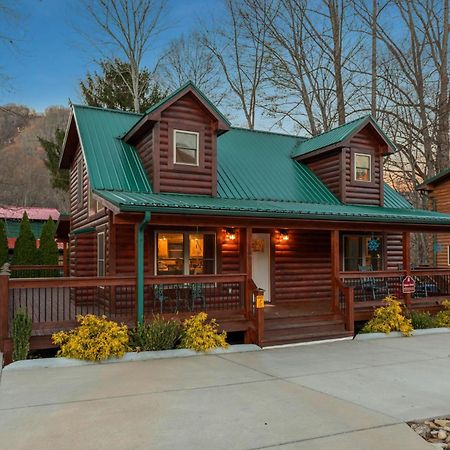 The Snow Owl Cabin Maggie Valley Bagian luar foto