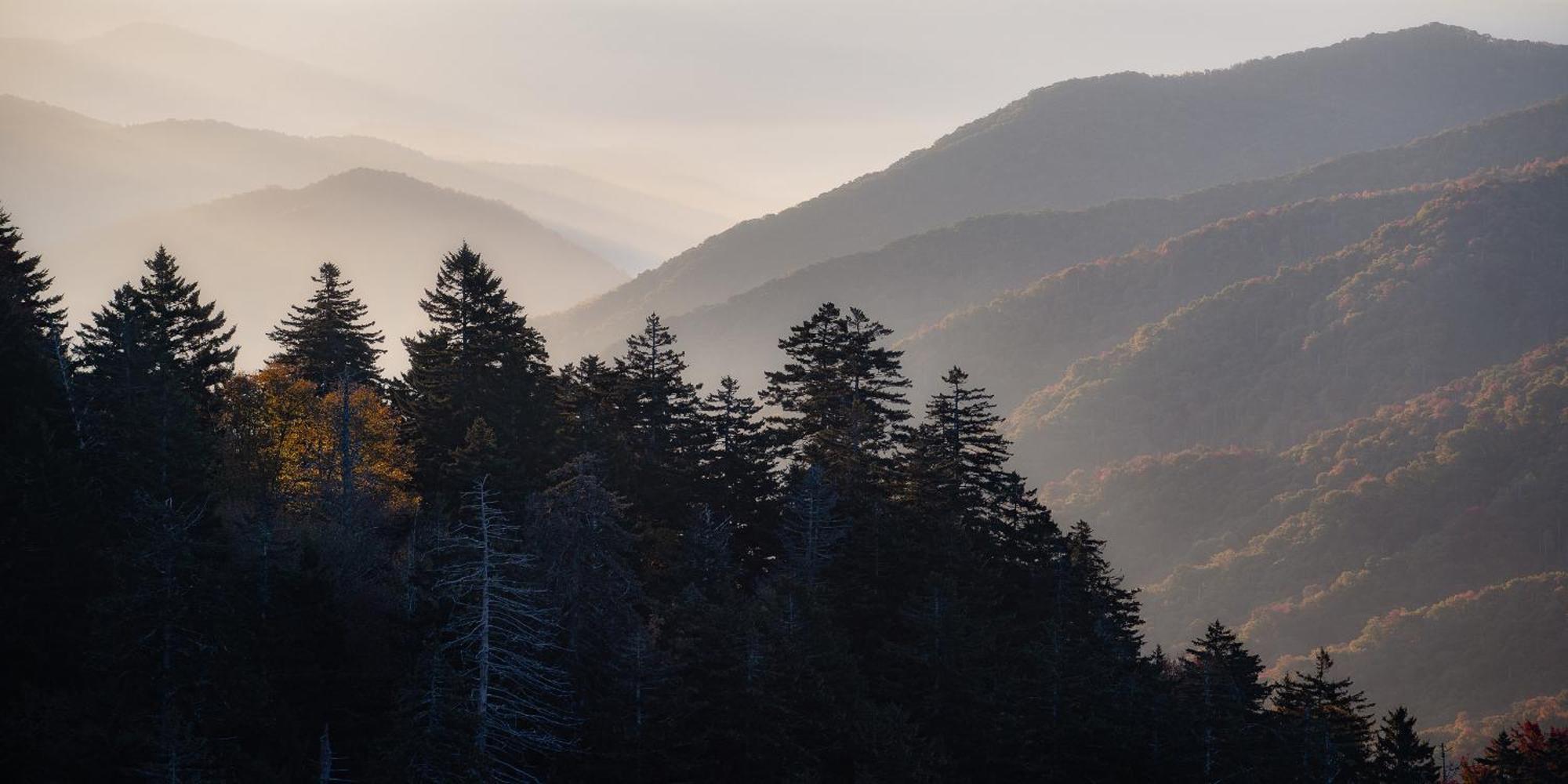 The Snow Owl Cabin Maggie Valley Bagian luar foto